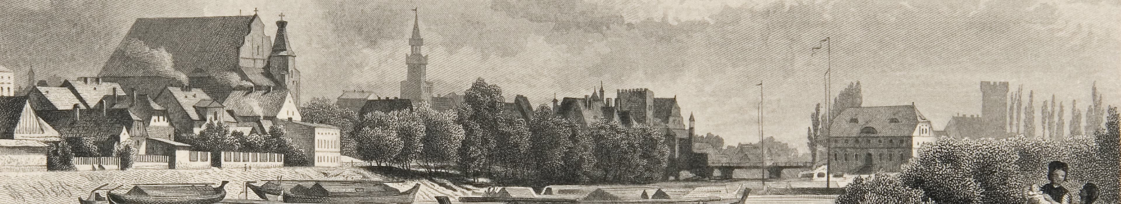 Obraz w tle wyszukiwarki