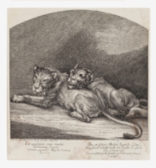 Leo quiescens cum patre