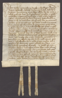 Piotr Buchta z Ondrzyjkowic, starosta Świerklańca i ziemi bytomskiej, Mikulasz z Wrbna na Rudach, Mikulasz z Reptow, potwierdzają akt sprzedaży przez Grzegorza, karczmarza radzionkowskiego, radzie miejskiej w Bytomiu &bdquo;Brzehu&rdquo; w wieczyste posiadanie