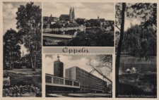 Oppeln : Teilansicht, Bolkoinsel Partie am Schwanenteich, Regierung, Partie am Mühlgraben