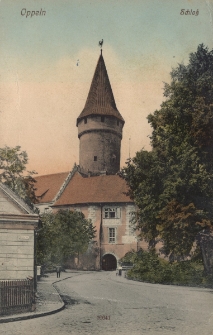 Oppeln : Schlo&szlig;