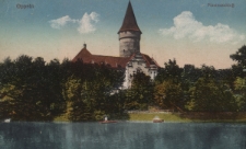 Oppeln : Piastenschloss