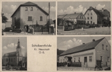 Schobersfelde Kr. Neustadt : Rogosch, Fleischerei u. Warenhandlung, Kriegerdenkmal mit Schule, Kirche, Gasthaus zum schwarzen Roß, P. Donitza