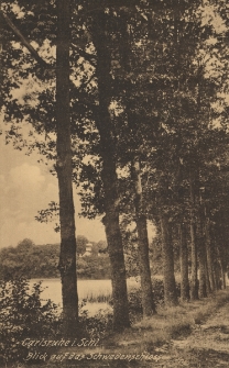Carlsruhe i. Schl. : Blick auf das Schwedenschloss