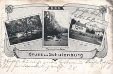 Gruss aus Schulenburg : Garten, Waldansicht vom Garten, Evangl. Kirche