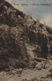 Tatry : Kominy w Dolinie Strążyskiej