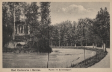 Bad Carlsruhe i. Schles. : Ruine im Schlosspark