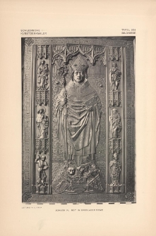 Tafel 224 Bildnisse : Johann IV. Rot im Breslauer Dome