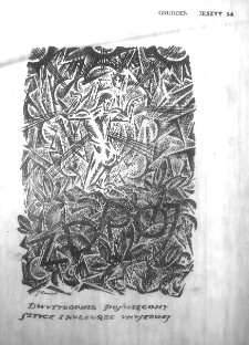 Zdr&oacute;j 1918, R.2, t.5, z.5-6