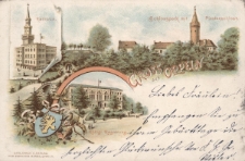 Gruss aus Oppeln : Schlosspark mit Piastenschloss ; Rathaus ; K&ouml;nigl. Regierung