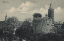 Oppeln : Partie aus dem Schlosspark