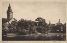 Oppeln : Schlossteich