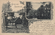 Gruss aus Steinbruch : Forsthaus, Der Steinbruch