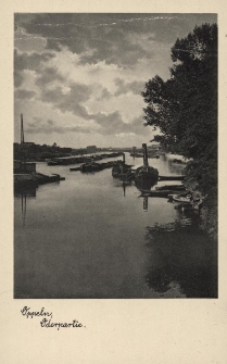 Oppeln : Oderpartie