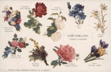 Kvĕtomluva : Ot&aacute;zka a odpovĕď