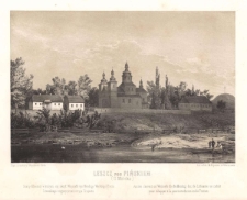 Leszcz pod Pińskiem