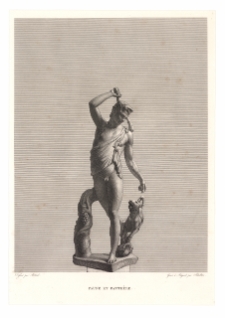 Faune et panth&egrave;re