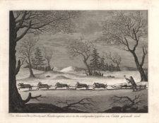 Ein Schneeschlitten (Narta) mit Hundevorspann, wie er in den umliegenden Gegenden von Ochotzk gebraucht wird