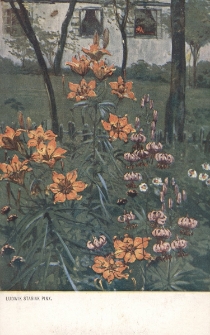 [Dom i ogr&oacute;d]