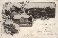 Gruss aus Z&uuml;lz (Schles.) : Kgl. Seminar, Rathaus, Bahnhof