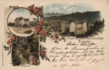 Wasserheilanstalt Ferdinandabad Ziegenhals : Ferdinandsbad Gartenhaus, Waldpromenade, Kurhaus