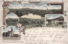 Gruss aus Troplowitz Preuss. Schlesien : Schloss, Gasthaus u. Geschäfl Schaper, Ring Platz