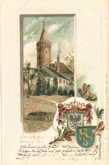 Gruss aus Oppeln : Piastenschloss