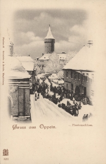 Gruss aus Oppeln : Piastenschloss