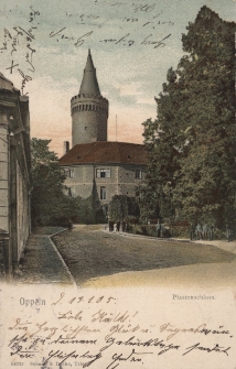 Oppeln : Piastenschloss