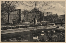 Oppeln : Bolkoinsel-Tierpark