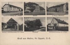 Gruß aus Malino, Kr. Oppeln, O.-S. : Gasthaus zur Erholung, Inh. J. Plewnia, Schule, J. Kroy's Gasthaus, Bäckerei u. Kolonialwarenhandlung, Inh. V. Kokott, Försterei, Kolonialwarenhandlung, Inh. St. Gawol