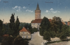 Oppeln : Piastenschlo&szlig;