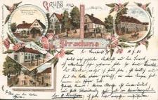 Gruss aus Straduna : Colonialwaaren-Hdlg. Bächerei & Post v. A. Posor, Schule, Mühle, Dominium, Wosczyna's Gasthaus, Hoffmann's Gasthaus