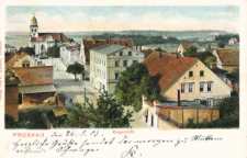 Proskau : Ringansicht