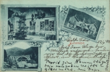 Jaremcze : Wnętrze sali restauracyi Skrzyńskiego, Hotel Skrzyńskiego w Jaremczu, Most w Jaremczu