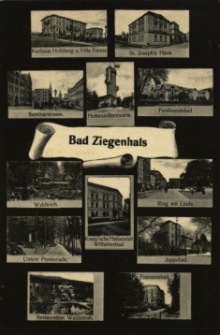 Głuchołazy : wieloobrazkowa poczt&oacute;wka m.in. willa Emma, domy wypoczynkowe