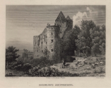 Burgruine Schweihaus