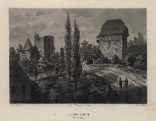 Burg Leipe bei Sch&ouml;nau