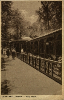 Truskawiec : &bdquo;Naftusia&rdquo; &mdash; kryty deptak