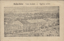 Bolech&oacute;w : widok og&oacute;lny