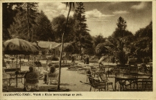 Truskawiec Zdr&oacute;j : widok z Klubu towarzyskiego na park