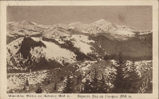 Worochta : widok na Howerlę 2058 m.