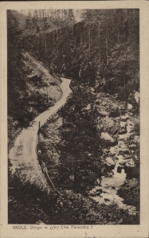 Skole : droga w g&oacute;ry (na Paraszkę)