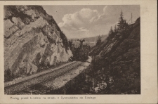 Skole : pociąg przed tunelem na szlaku z Synow&oacute;dzka do Skolego