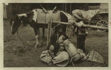 Ukraina : mali Huculi