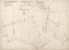 Erg&auml;nzungskarte N&deg; 161. Katasterverwaltung. Jahrgang 1907. Kreis Neisse N&deg; 66.