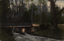 Nysa : w parku miejskim