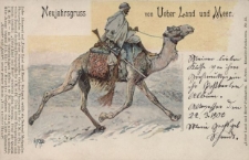 Święta : Neujahrgruss von Ueber Land und Meer